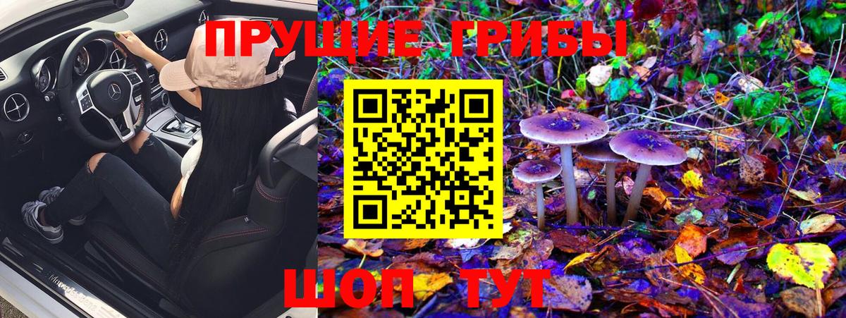 Псилоцибиновые грибы Psilocybine cubensis  Вход с VPN  Белореченск 